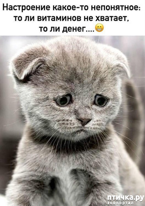 ����: ����������