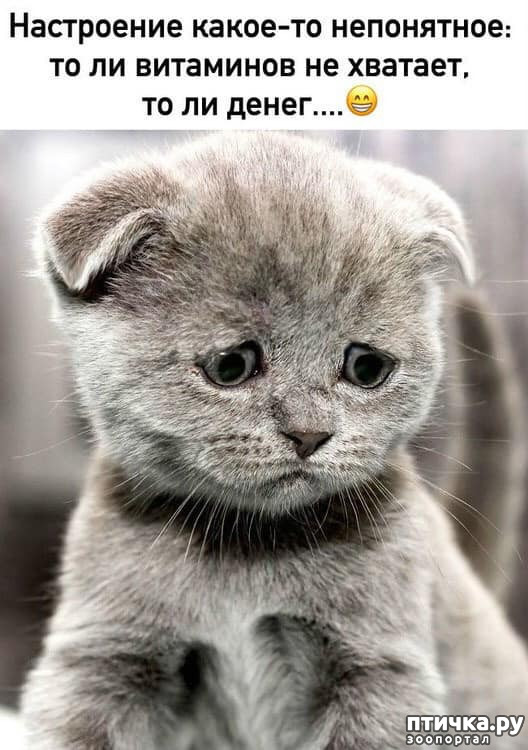 ���� 1: ����������