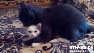 ����: ��� ��� ������!