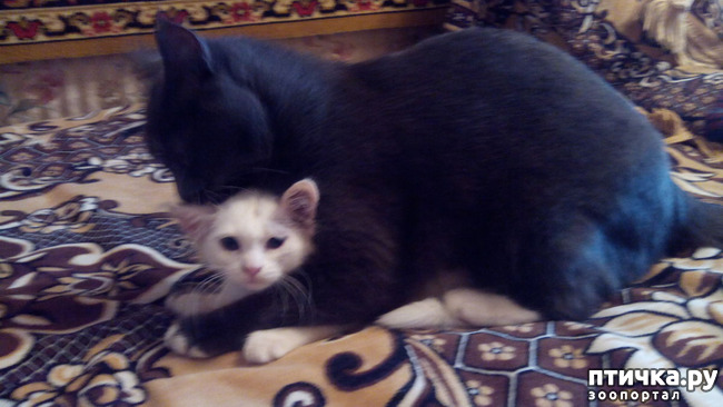 ���� 1: ��� ��� ������!