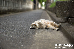 ����: � �����...