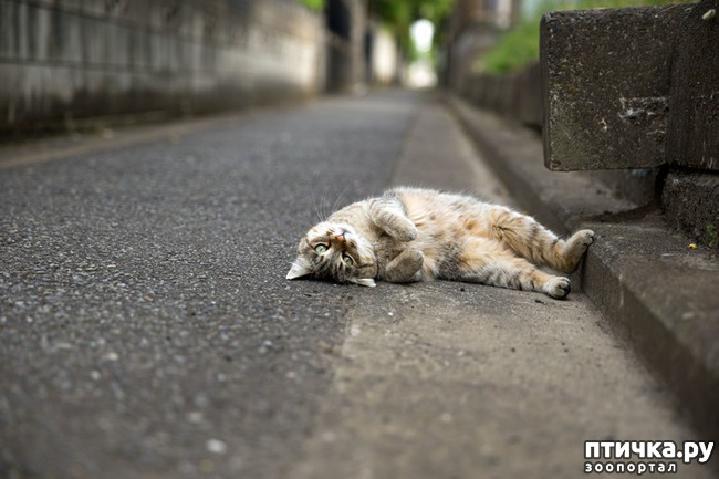 ���� 1: � �����...