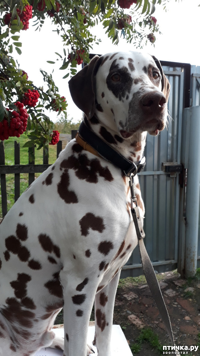 ���� 1: ��� �������