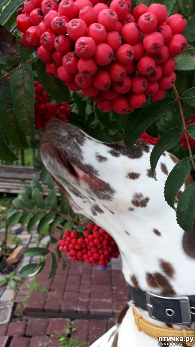 ���� 2: ��� �������