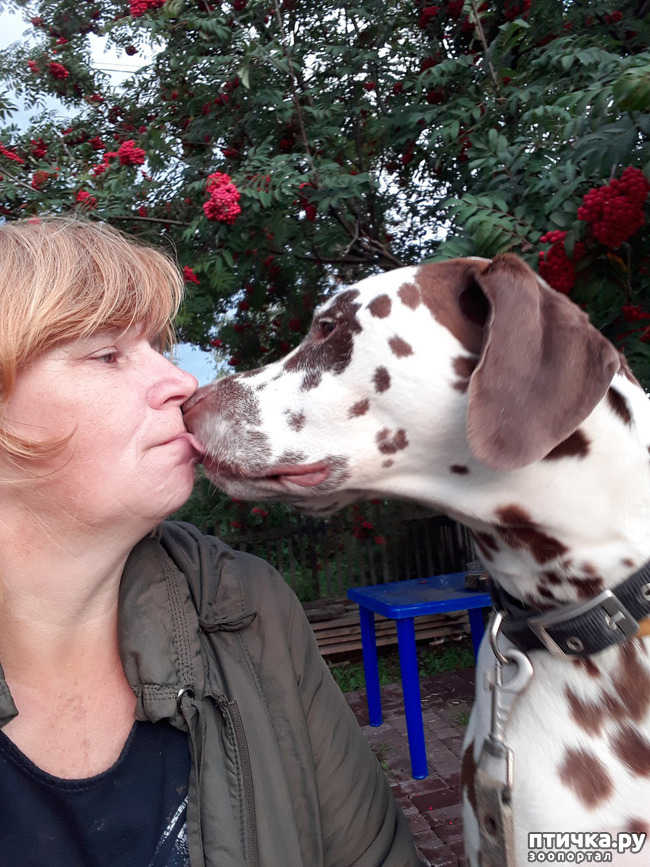 ���� 3: ��� �������