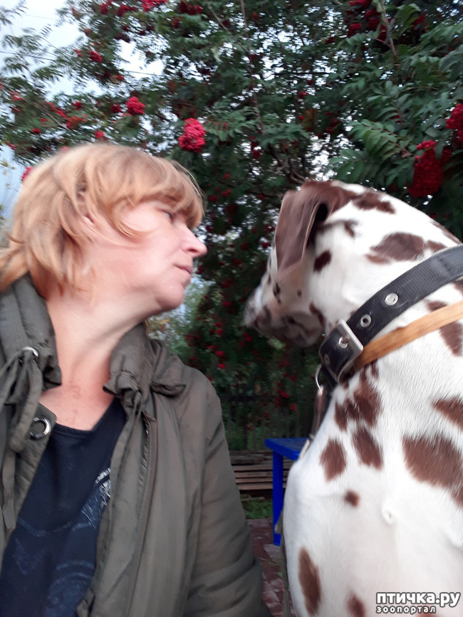 ���� 4: ��� �������