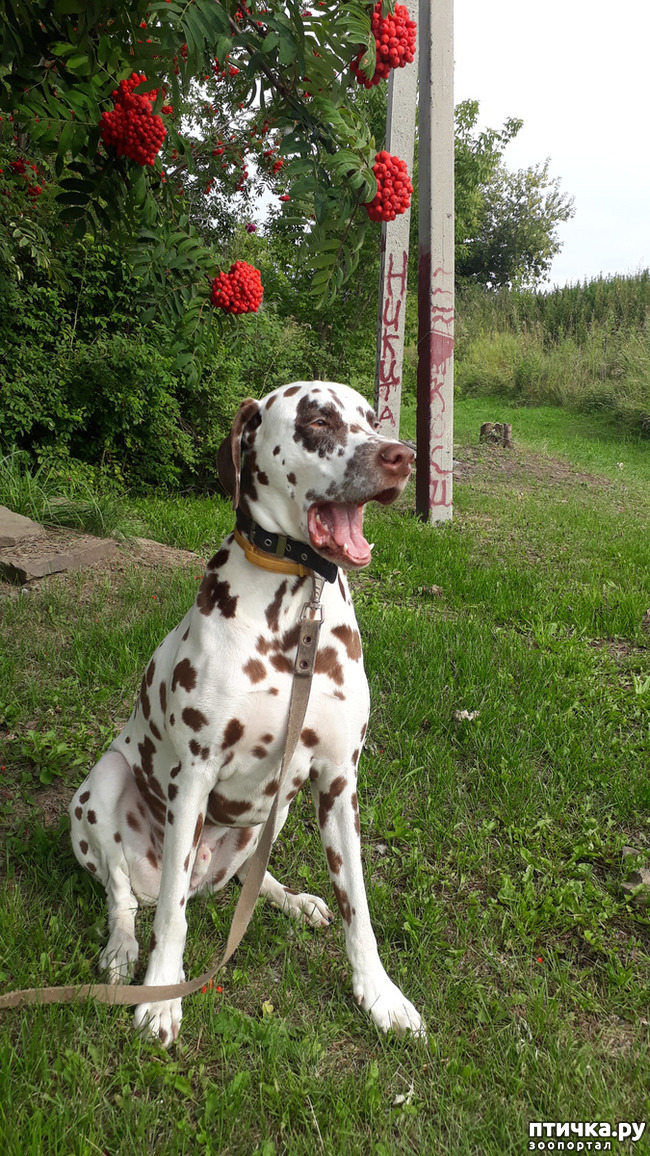 ���� 5: ��� �������