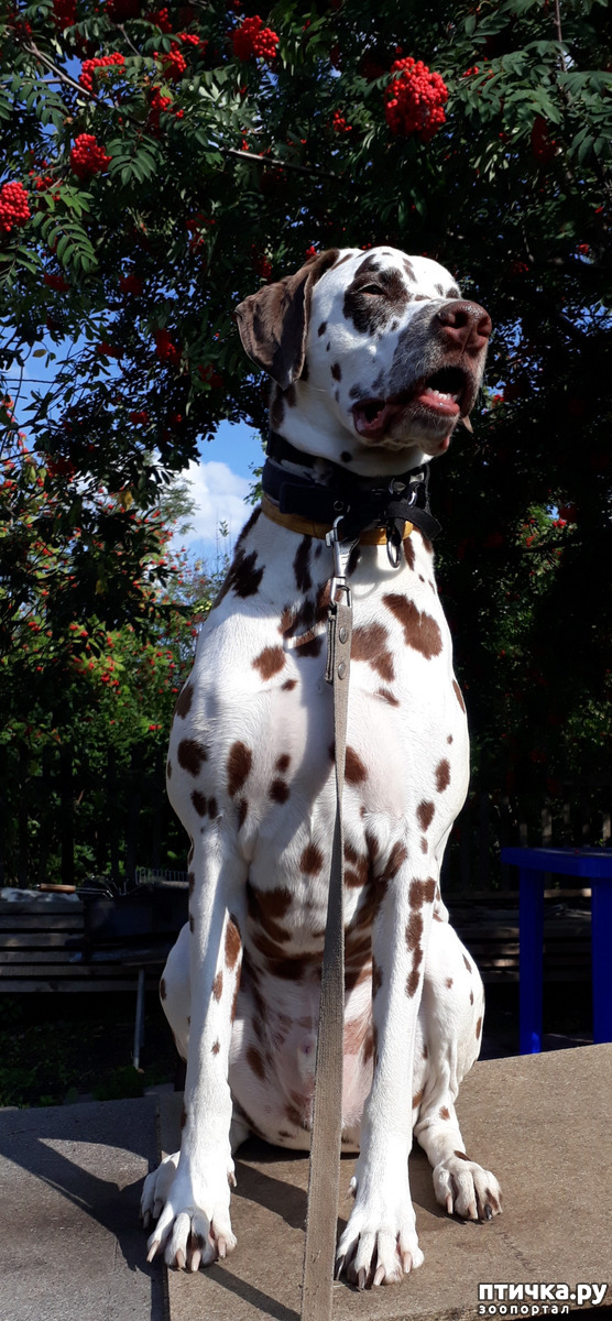 ���� 7: ��� �������