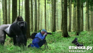 ����: ������� ����