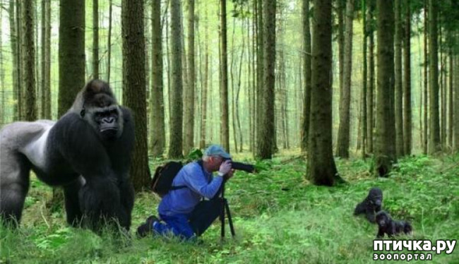 ���� 1: ������� ����