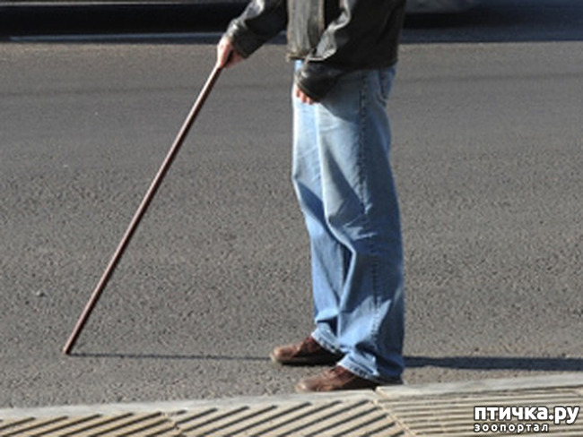 ���� 3: �������