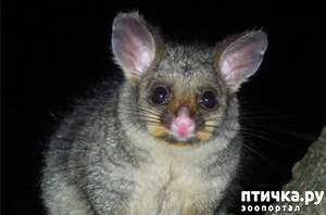 ����: �� ���������� ������ �����