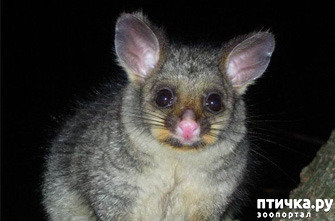 ���� 1: �� ���������� ������ �����