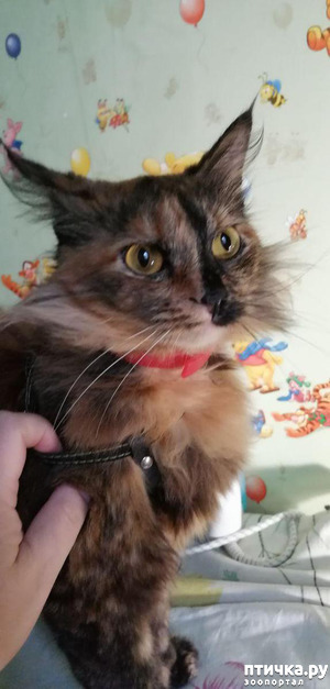 ����: ��� ������� ��� ������� ���� �������?