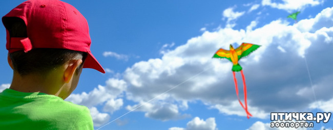 ���� 2: �������