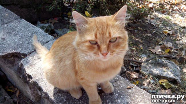 ���� 2: ������ �������