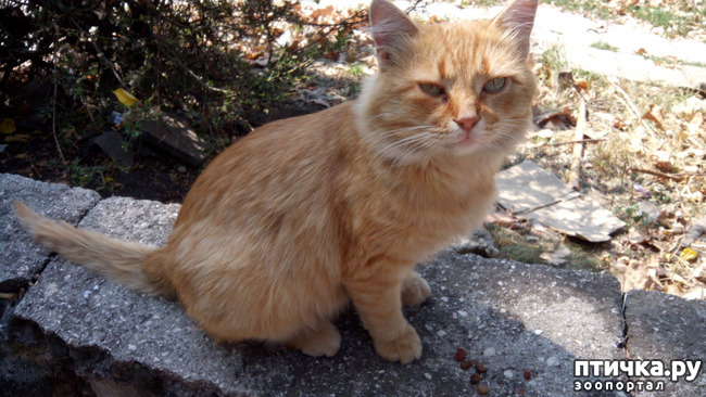 ���� 3: ������ �������