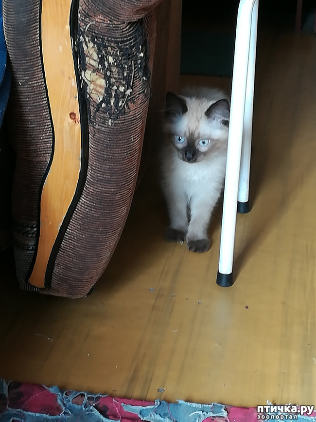 ���� 1: ����� /�����