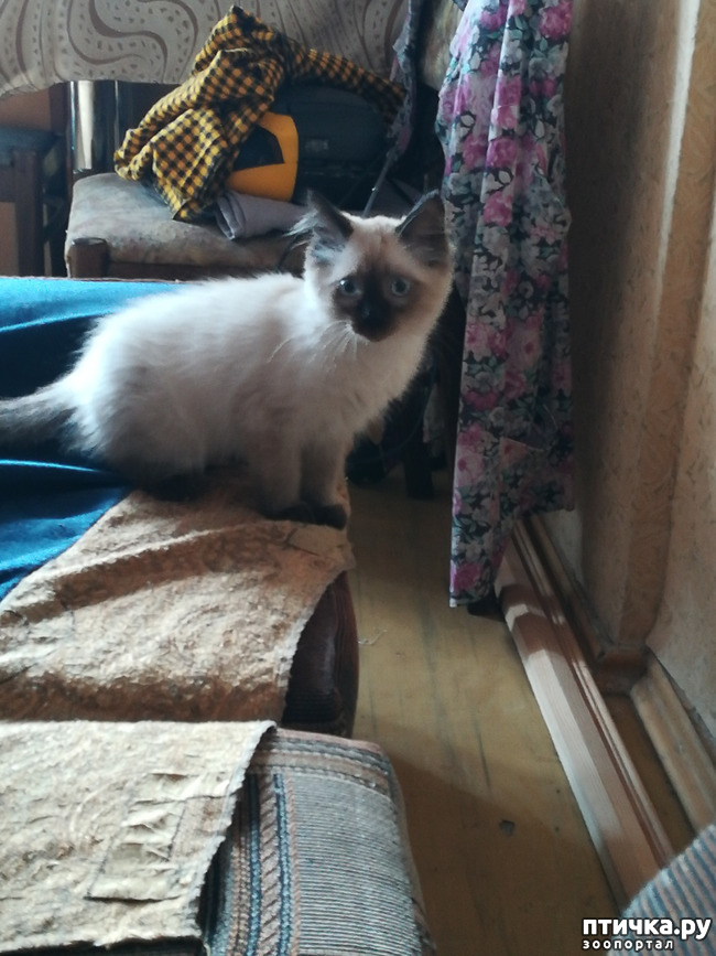 ���� 2: ����� /�����