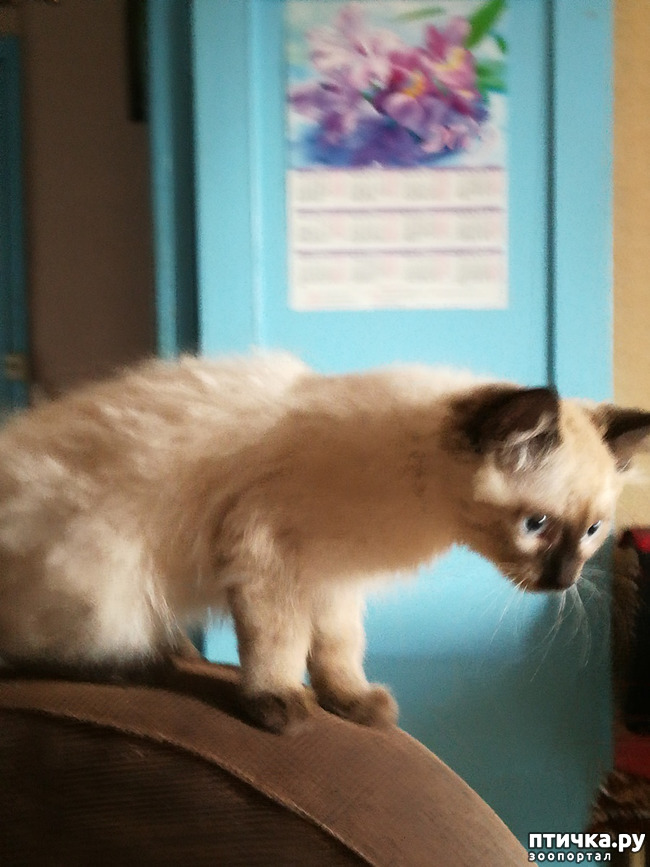 ���� 3: ����� /�����