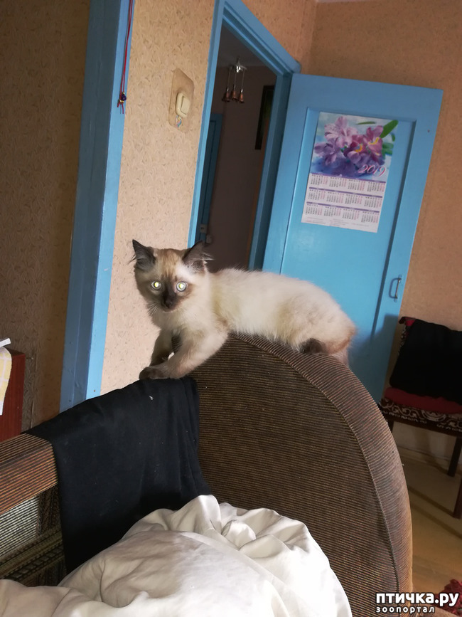 ���� 4: ����� /�����