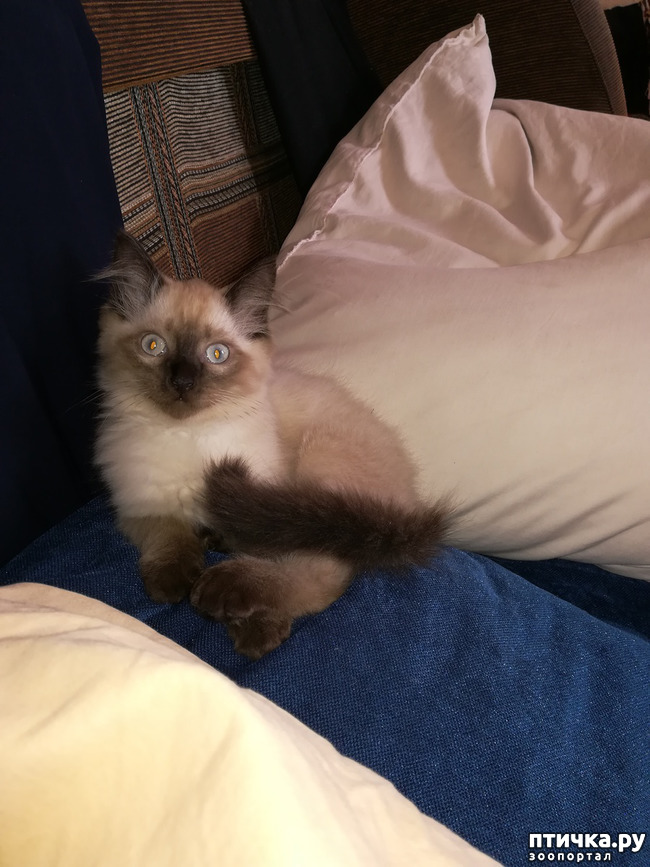 ���� 5: ����� /�����