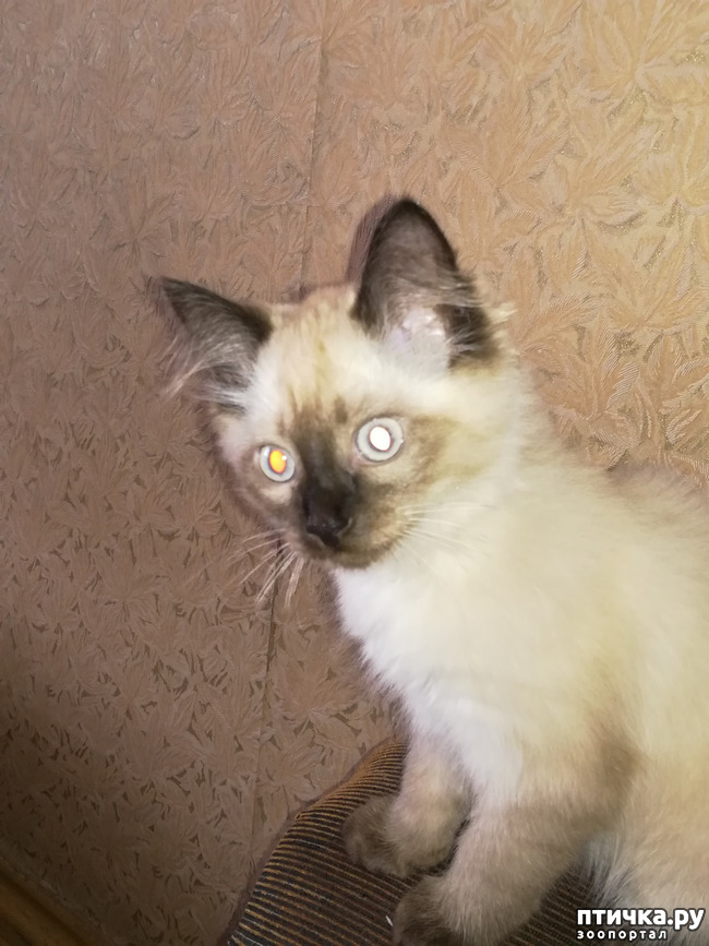 ���� 6: ����� /�����