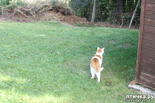 ���� 8: ����� �� ��������