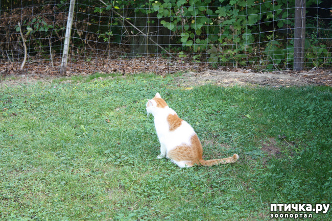 ���� 9: ����� �� ��������