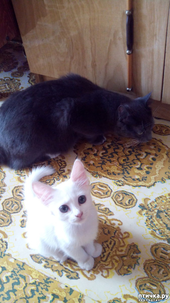 ���� 2: ����������