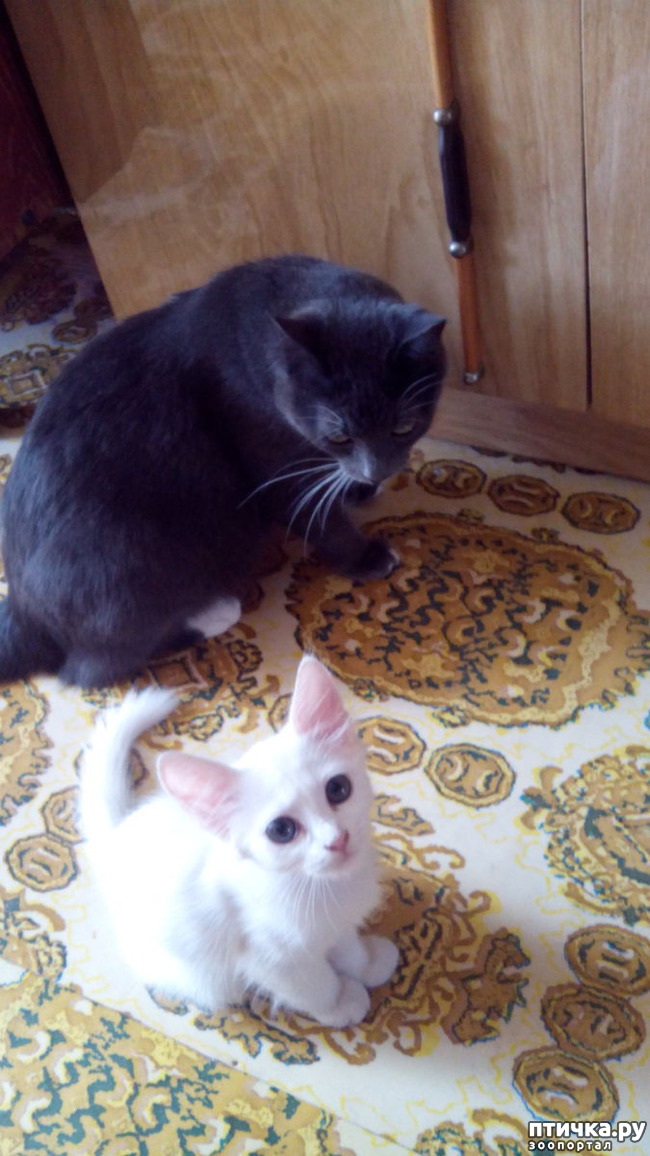 ���� 3: ����������