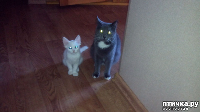 ���� 5: ����������