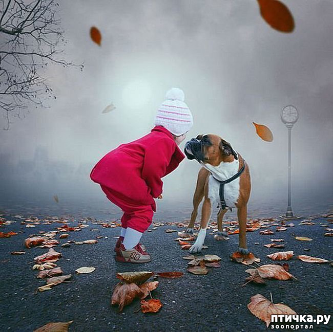 ���� 2: ���������� ����� � �������