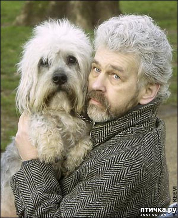 ���� 3: ���������� ����� � �������