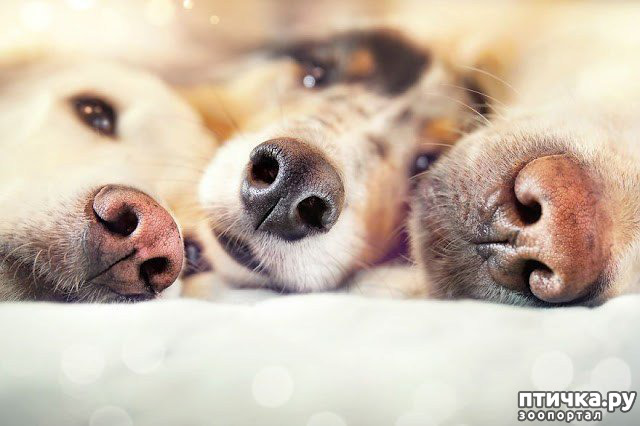 ���� 4: ���������� ����� � �������