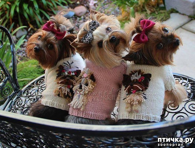 ���� 6: ���������� ����� � �������