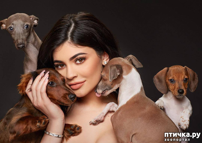 ���� 8: ���������� ����� � �������