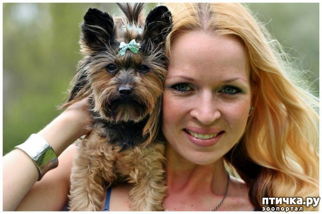 ���� 9: ���������� ����� � �������