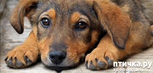 ����: ���������� ����� � �������