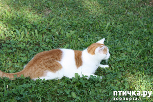 ����: ����� �� ��������