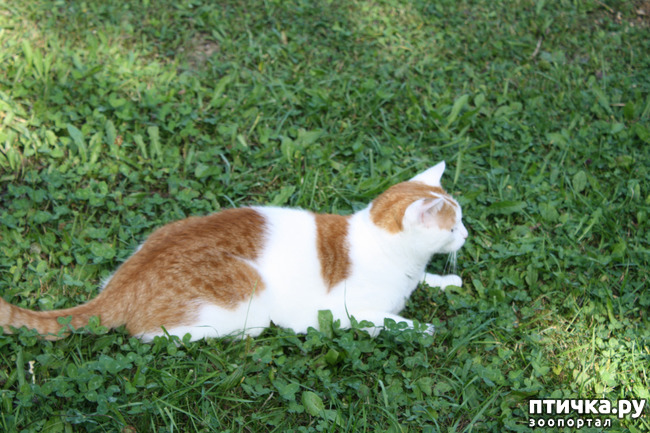 ���� 1: ����� �� ��������