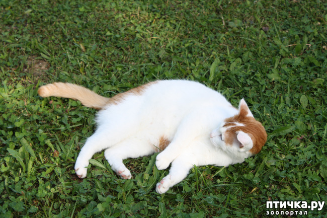 ���� 2: ����� �� ��������