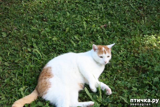 ���� 3: ����� �� ��������