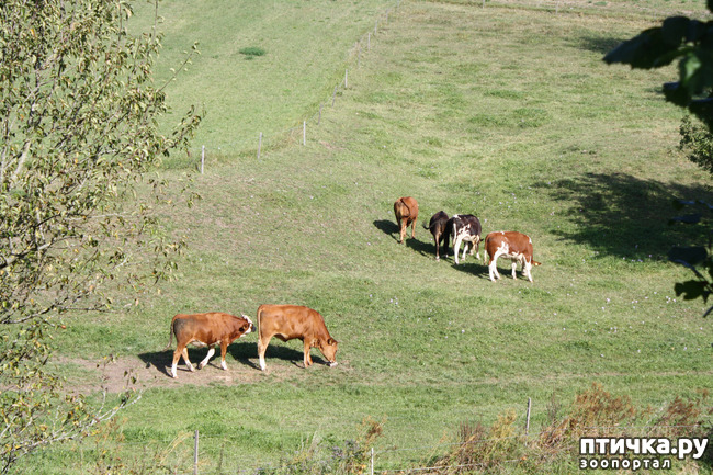 ���� 4: ����� �� ��������