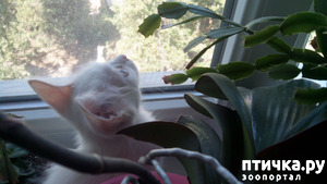 ����: ��� ���� �������� ���������