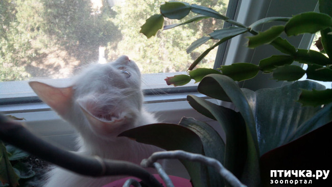 ���� 1: ��� ���� �������� ���������