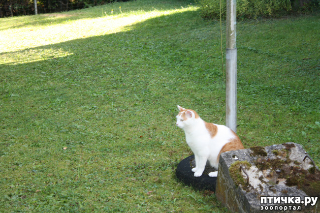 ���� 5: ����� �� ��������