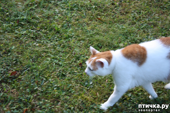 ���� 6: ����� �� ��������