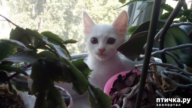 ���� 3: ��� ���� �������� ���������