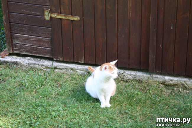 ���� 7: ����� �� ��������